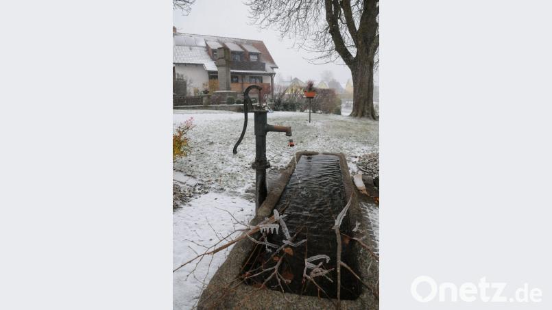 Die Miesbrunner Dorfbevölkerung kümmert sich um die Grünanlagen im Ort. Ein Lob gibt es dafür von Bürgermeister Rainer Rewitzer. Bild: bey