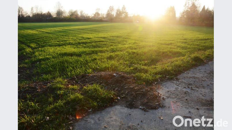 Die für einen Campingplatz vorgeschlagene Fläche zwischen der Dr.-Pfleger-Straße und der Süd-Ost-Tangente stößt bei den Stadträten nicht auf Gegenliebe. Bild: Gabi Schönberger