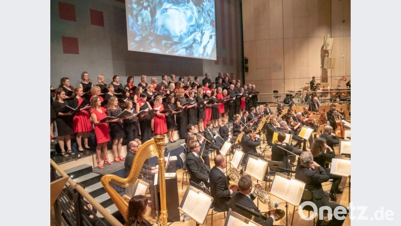 Leidenschaftliche Sänger treffen auf ein großartiges Orchester: „Singing Witt“ begeistert wieder einmal ein volles Haus mit einem toll inszenierten Programm – und das für den guten Zweck. Bild: Jörg Otto