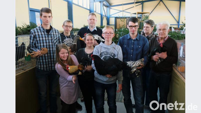 Ausgezeichnete Zucht und Pflege: Gleich drei Preisrichter bestätigen den Speinsharter Kleintierzüchtern viel Fingerspitzengefühl bei ihrem Hobby. Den Tauben-, Hühner- und Gockel-Züchtungen einiger Tierfreunde (Bild) bescheinigen die Richter sogar bayerische Spitzenqualität. Bild: Dotzauer
