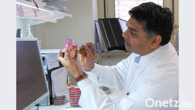 Prof. Dr. Hamid Hossain, Chefarzt der Mikrobiologie am Klinikum St. Marien Amberg und dem Klinikum Weiden Bild: Klinikum/Gräß