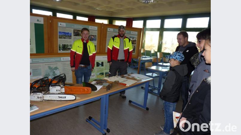 Bundesforst Bild: pad