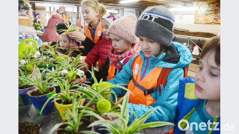 Kinder stehen für Bildung. Und in diese wollen die Fraktionen in den nächsten Jahren 100 Millionen Euro investieren. Bild: Gabi Schönberger