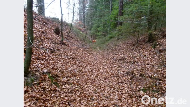 Auch unweit von Oberviechtach sind noch Überreste von Altstraßen im Gelände auszumachen. Im Frühjahr soll eine Wanderung zu diesen Relikten aus der Vergangenheit stattfinden. Zeit und Ort werden rechtzeitig bekanntgegeben. Bild: bgl
