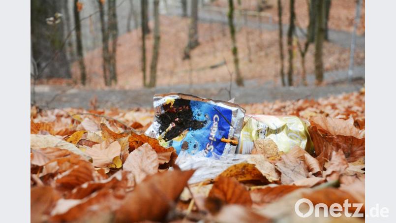 Viele Bürger beschweren sich über den Müll im Felixwald und auf dem Aufsichtspunkt. Die Stadt sei mit Polizei und Schule in Kontakt, erklärt Bürgermeister Rupert Troppmann. Doch alle Verbote würden nichts helfen, wenn der Einzelne kein Verantwortungsbewusstsein zeige. Bild: Gabi Schönberger