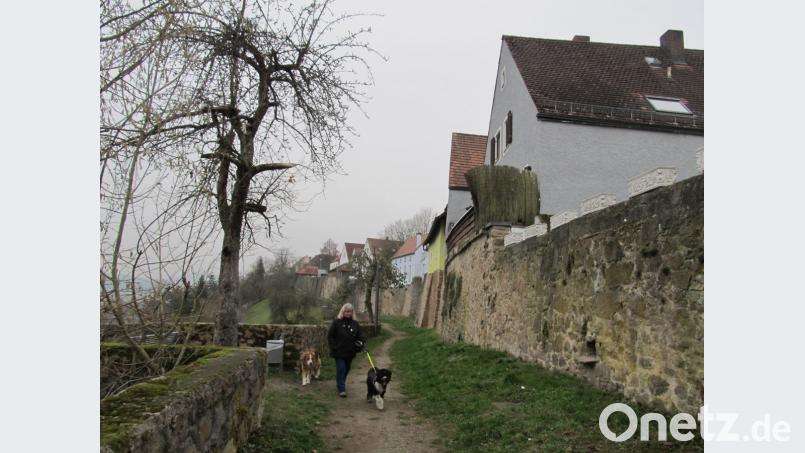 In mächtige Mauern und so manches Kleinod soll auch in Zukunft viel Geld fließen. Eine Million Euro hat die Stadt bereits in die Stadtmauer gesteckt, in den kommenden Jahren soll der komplette Ring um die Altstadt saniert werden. Bild: bl