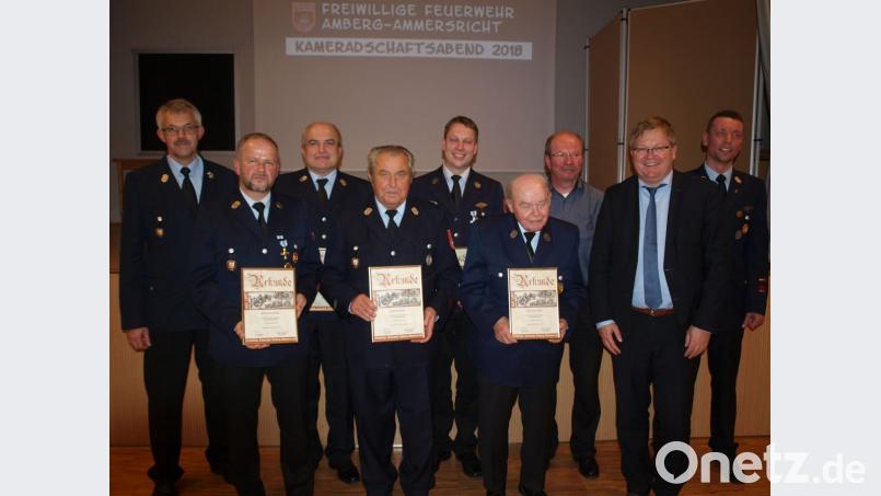 Die Geehrten von links: Erster Vorsitzender Wolfgang Nagler, Thomas Weigl, Martin Lotter, Erich Birner, Martin Schafbauer, Anton Weigl, Josef Mertel, OB Michael Cerny, 1. Kommandant Christian Schafbauer. Bild: tne