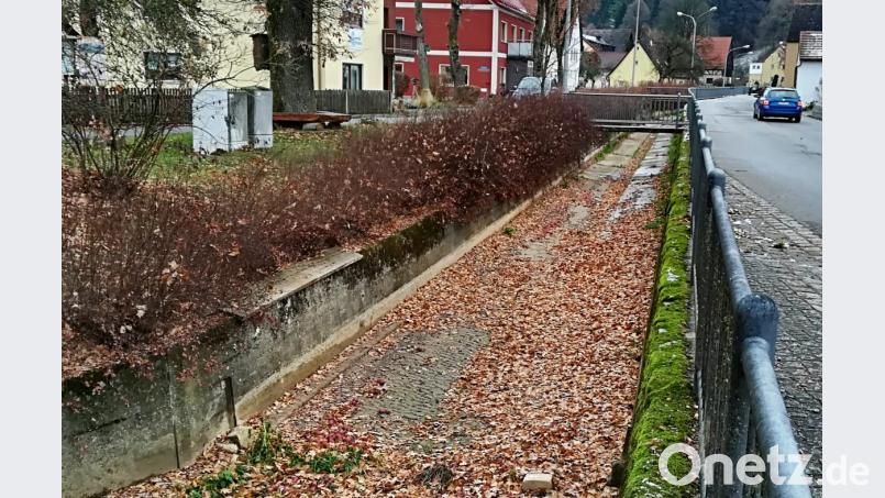 Vieldiskutiert im Gemeinderat: Das Bachbett des Reinbachs in Kirchenreinbach ist meistens ohne einen Tropfen Wasser. Bild: ds