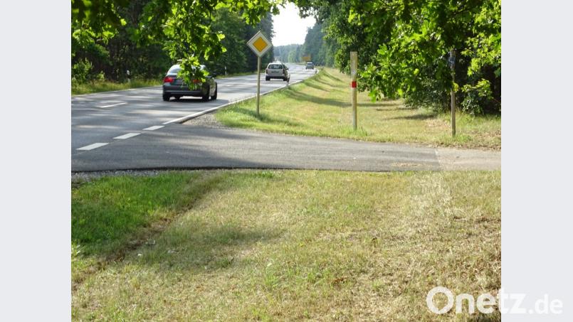Parallel zur Staatsstraße bei Freihöls soll das letzte Teilstück des Radweges Schwarzenfeld-Amberg errichtet werden. Doch das Projekt, sofort finanzierbar, scheitert noch immer an Grundstücksverhandlungen. Bild: hou