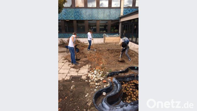 Im Zuge der Offenen Ganztagsschule wird der Schulgarten neu gestaltet. Ein alter Teich wird restauriert, ein Hochbeet wurde angelegt. Bild: Mittelschule Schmidgaden