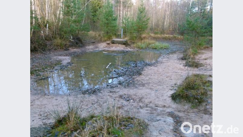 Der regenarme Sommer machte die kleine Wasserfläche am Walderlebnispfad zu einer Pfütze. Das bei Kindern geschätzte und beliebte Floß lag auf Grund. Bild: rn