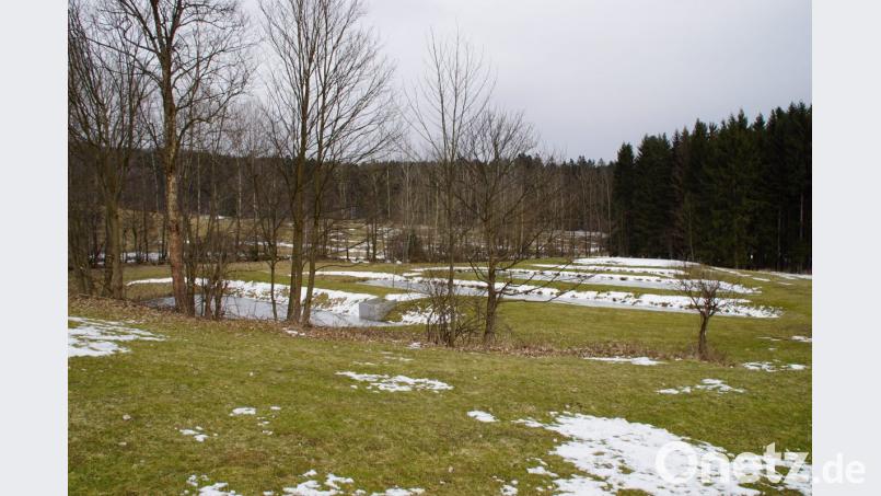 Auf einer Kläranlage am bestehenden Areal in Stadlern werden die Abwasser aus allen Gemeindeteilen zusammengefasst. Der Baubeginn ist für Mitte 2019 anvisiert. Bild: mmj