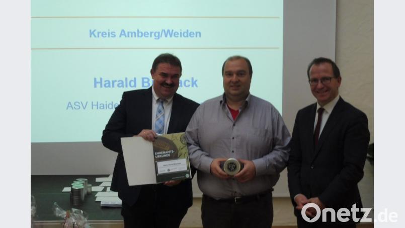 BLSV-Präsident Jörg Ammon (rechts) und Kreisspielleiter Albert Kellner (links) würdigen Harald Biersacks Engagement mit einer Urkunde und der DFB-Uhr. Bild: hai