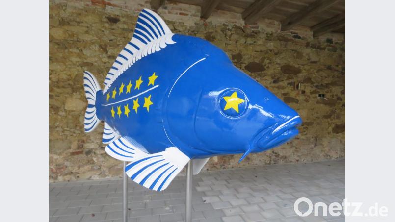 Ein prachtvolles Exe,plar von Kaprfen, und gewiss unübesehbar. Bild: ubb