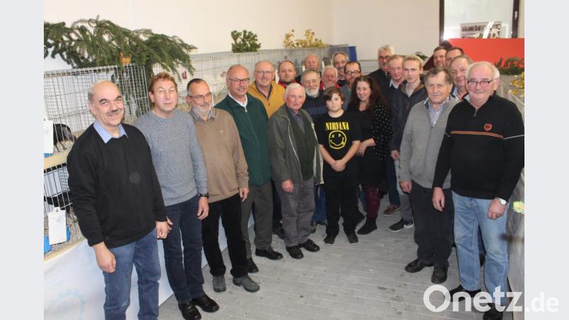 Die besten Züchter werden am Ende der 26. Kreisschau der Kleintier- und Geflügelzüchtervereine im Verband Neustadt/WN ausgezeichnet. Die Ausstellung organisieren Ausstellungsleiter Josef Striegl (links) und Vorsitzender Rainer Bauer (Dritter von links) sowie deren Helfer. Bild: prh