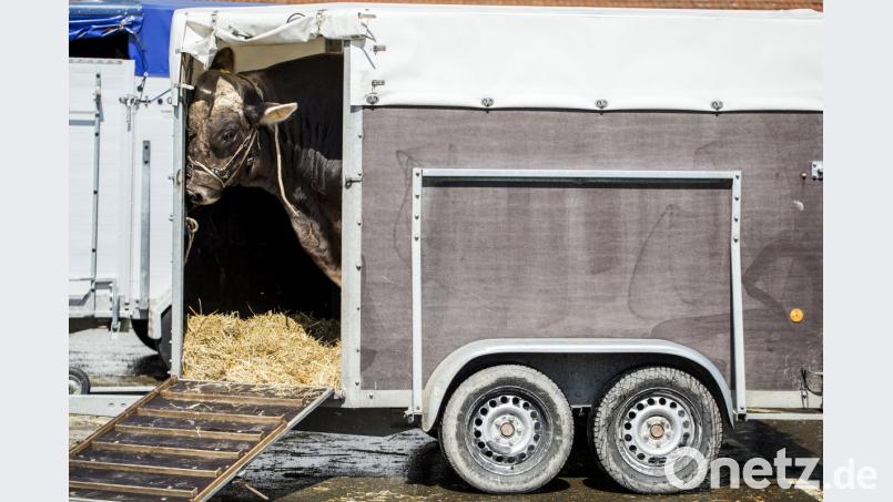 Symbolbild. Bild: Alexandra Wey/KEYSTONE/dpa