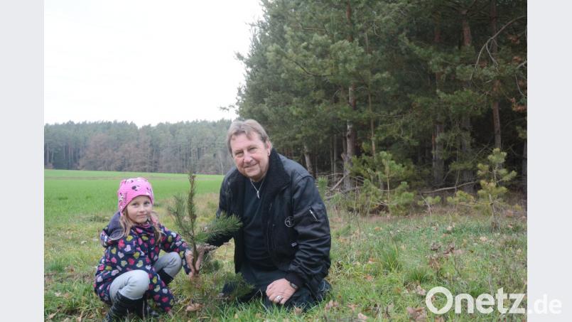 Hans Blecha pflanzt am Dienstag auf seinem Grundstück in Luhe ein Bäumchen. Enkelkind Lara soll den Föhrenwald, den Tennet als Ausgleichsfläche für den Ostbayernring haben möchte, einmal erben. Bild: Gabi Schönberger