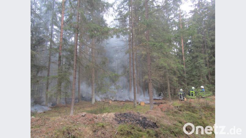 Einen Waldbrand löscht die Feuerwehr am Mittwochnachmittag in der Nähe von Seidlersreuth. Bild: wro