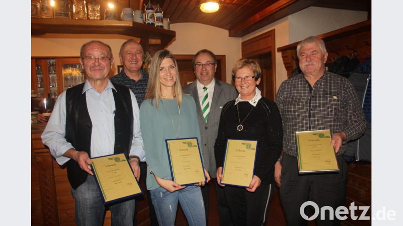 TSV-Vorsitzender Karl-Heinz Pieper (Dritter von rechts) überreichte beim Ehrenabend Urkunden und Treuenadeln an verdiente und langjährige Mitglieder. Bild: frd