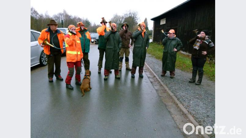 Mit Jagdsignalen eröffnete eine Bläsergruppe die Drückjagd Bild: rn