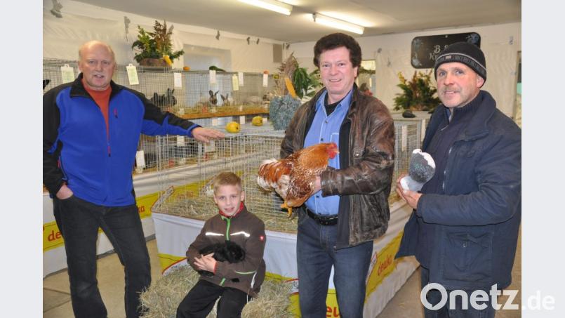Die Lokalschau der Kleintierzüchter bietet Gelegenheit, die Kaninchen, Hühner und Tauben nicht nur anzuschauen, sondern auch mal anzufassen und zu streicheln. Bild: ak