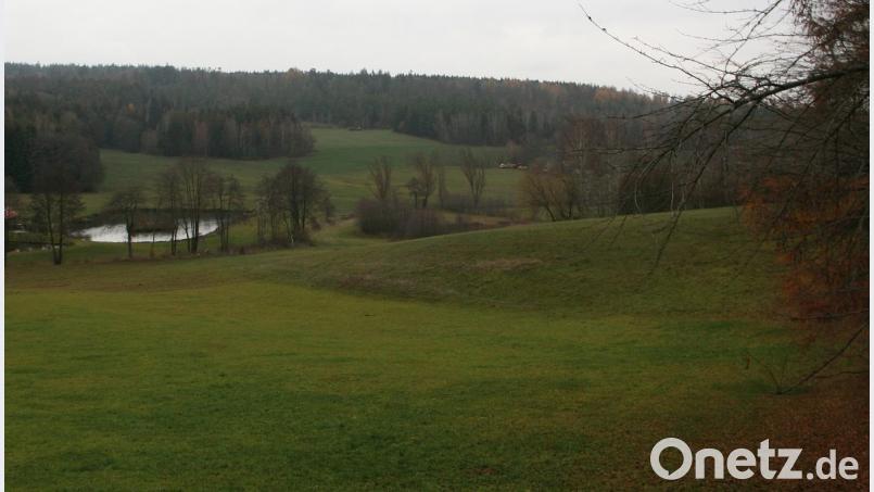 Es bleibt beim Mähen. Aus der Ökofläche am Wiesaubach wird aktuell kein Weidegrundstück. Bild: wro