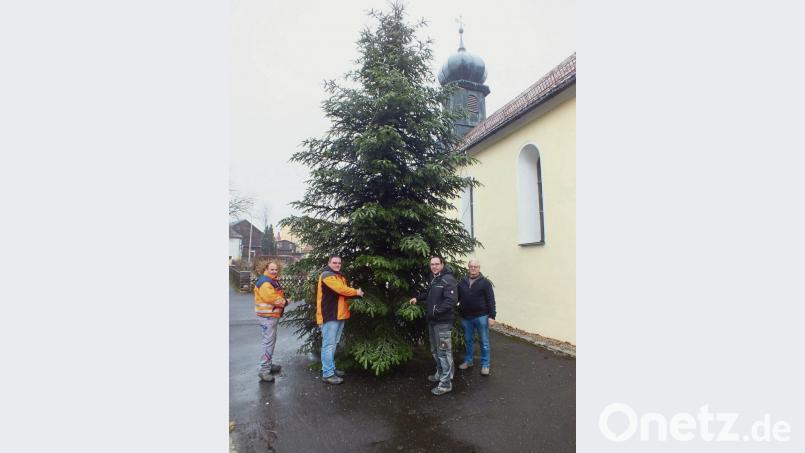 Daniel Böhm, Holger Pöllath, Patrick Plattner und Albert Thalhammer (von links) bestücken den Weihnachtsbaum mit einer Lichterkette. Bild: soj