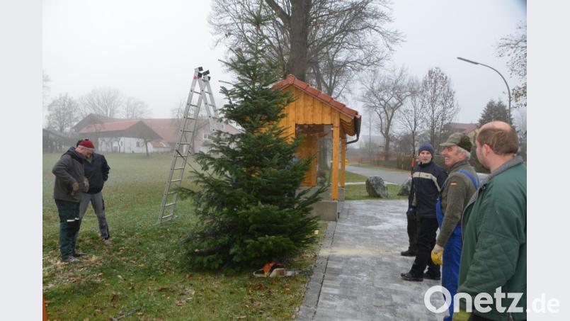 Es ist geschafft, der Tannenbaum ist aufgerichtet. Erstmals bekommen auch die Unterlinder einen eigenen Weihnachtsbaum. Bild: dob