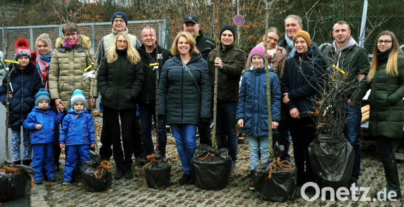Über Obstbäume und Sanddornsträucher freuen sich die Häuslebauer in Poppenricht. Bild: gf