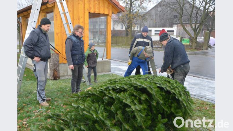 Erstmals bekommen auch die Unterlinder einen eigenen Weihnachtsbaum. Bild: dob