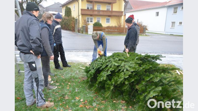 Die edle Tanne wird von den Helfern zurechtgestutzt, damit sie in die vorbereitete Halterung passt. Erstmals bekommen auch die Unterlinder einen eigenen Weihnachtsbaum. Bild: dob