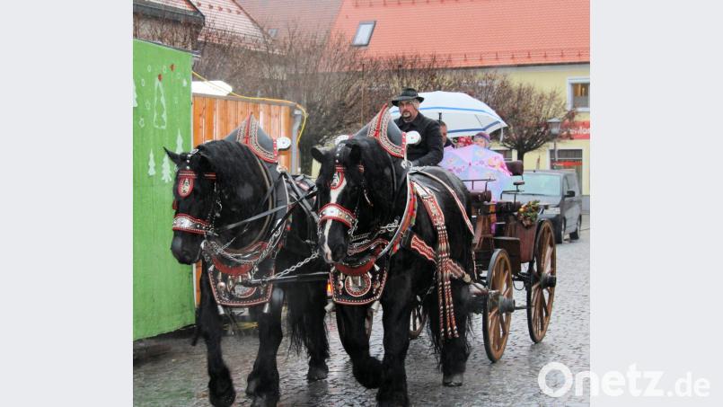 Bei Dauerregen fuhren nur wenige Besucher mit der Kutsche Bild: bjo