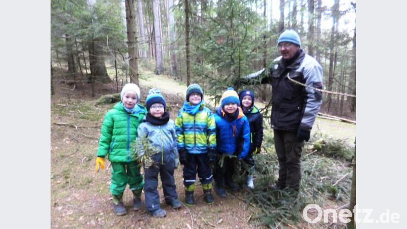Die Vorschulkinder des Haberländer Kindergartens machen sich auf die Suche nach einem Weihnachtsbaum. Bild: sm
