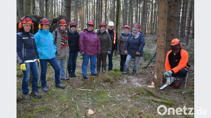In drei verschiedenen Gruppen nahmen die Landfrauen am Donnerstagnachmittag das Praxisangebot im Wald an. Hier zeigt ihnen Forstwirt Karl Rupprecht (rechts) das fachgerechte Fällen eines Baumes. Mit dabei Bernhard Zintl von der Land- und forstwirtschaftlichen Berufsgenossenschaft (SVLFG) und Kreisbäuerin Irmgard Zintl (4. von rechts). Bild: jr