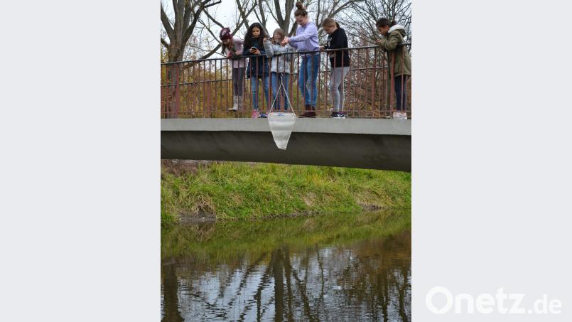 Wie viel Mikroplastik schwimmt in der Waldnaab? Das wollen die Schülerinnen der Forscherklasse 6c der Sophie-Scholl-Realschule herausfinden. Bild: fuw
