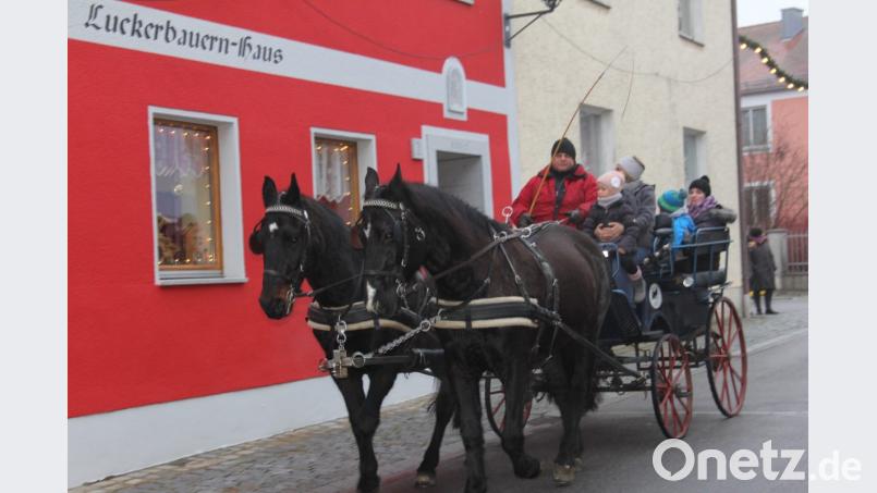 Für die Kinder war die Kutschenfahrt durch die Altstadt das Höchste. Bild: frd