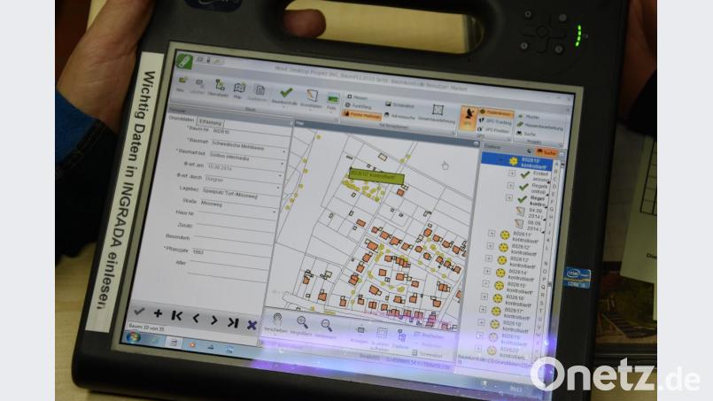 Alle 23 000 Bäume im Stadtgebiet mit Ortsteilen werden digital erfasst. Bild: shl