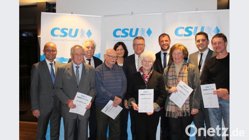 Urkunden nehmen die langjährigen CSU-Mitglieder (vorne von links) Wolfgang Foierl, Karl Gruber, Christl Legat, Anneliese Kohl und Walter Siegert entgegen. Dazu gratulieren (hinten von links) Alfred Scheidler, Peter Gold, Doris Schön, Franz Stahl, Huberth Rosner und Christian Doleschal. Bild: hä