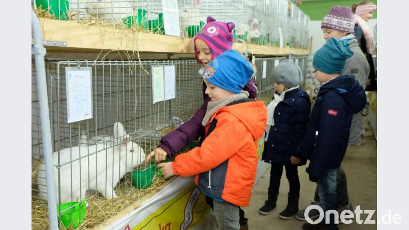 Die treuesten Besucher der Lokalschau sind die Kinder. Bild: do