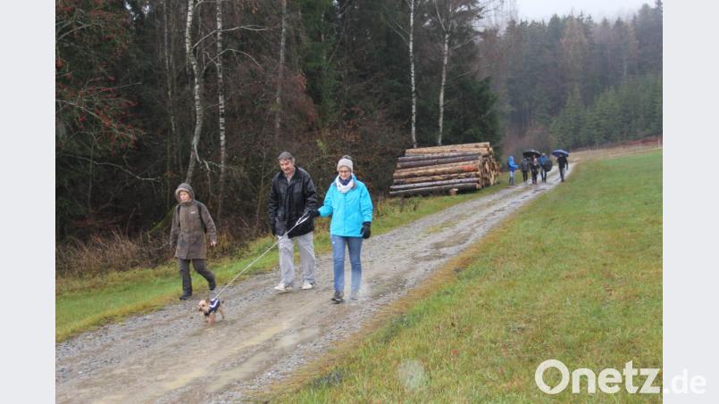 Beim Nikolaus-Wandertag ließen sich die Teilnehmer auch von Regen und Nieselregen nicht abschrecken. Das galt auch für vierbeinige Weggefährten. Bild: frd