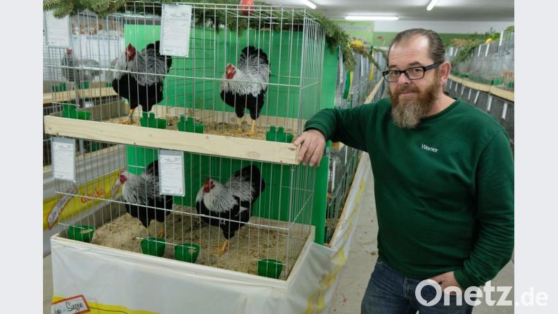 Vorsitzender Werner Kennel freut sich über das hohe Niveau des Zuchtjahres 2018. Bild: do