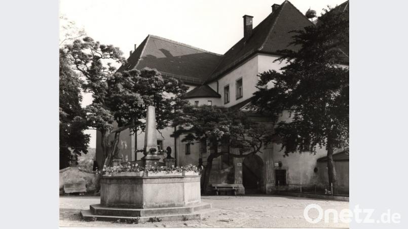 Auf einer alten Postkarte sind am Stadtplatz hinter dem Brunnen vor dem Alten Schloss einige Bäume zu sehen. Bild: krb