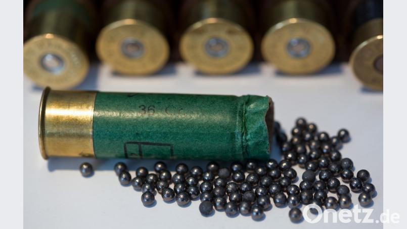 Kurz nachdem der Hundehalter drei Schüsse hörte, kam das Tier zurück und hatte Schrotkugeln in seinem Körper. Bild: Patrick Pleul dpa/lbn