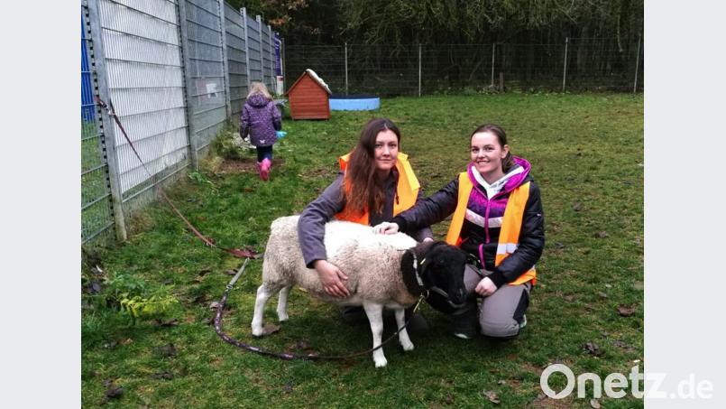Die Tierheim-Mitarbeiterinnen Jenny und Meli mit dem schließlich doch noch eingefangenen Schaf Sally. Bild: Ingrid Mallmann