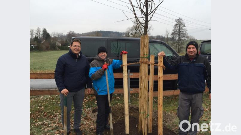 Trotz schlechten Wetters pflanzen die Helfer auf dem Spielplatz eine Winterlinde: Von links: zweiter Bürgermeister Oliver Mutterer, Fraktionssprecher Heinz Kett sowie Jugendbeauftragter Wolfgang Bock. Bild: exb