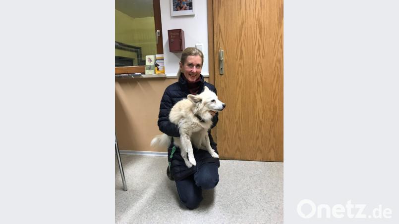 Gabi Hahn – mit Spitz Kucki – ist seit mehr als 20 Jahren Vorsitzende des Tierschutzvereins Schwandorf, der das dortige Tierheim betreibt. Sie weiß um das Problem tierischer Weihnachtsgeschenke. Bild: Gabi Eichl