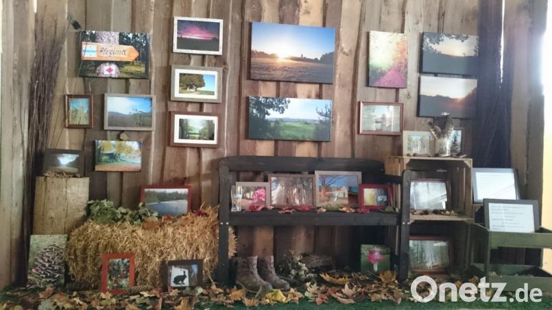 Macht Lust aufs Wandern: das Schaufenster mit Fotos von Martin Binhack Bild: Martin Binhack