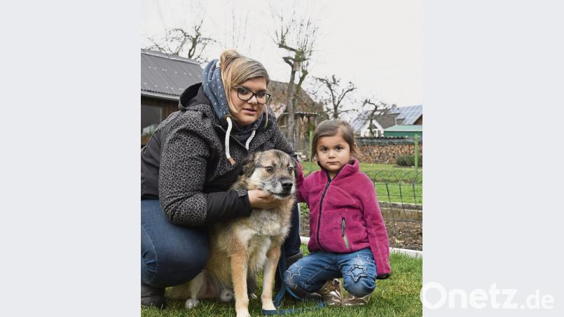 Mischling Rambo mit Nadine Graf und ihrem Töchterchen Lea. Der Hund erholt sich langsam von dem verstörenden Vorfall. Bild: Petra Hartl