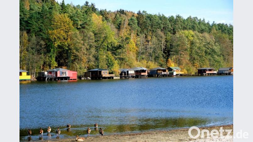 Der Rußweiher soll attraktiver werden, besonders für junge Badegäste Bild: do