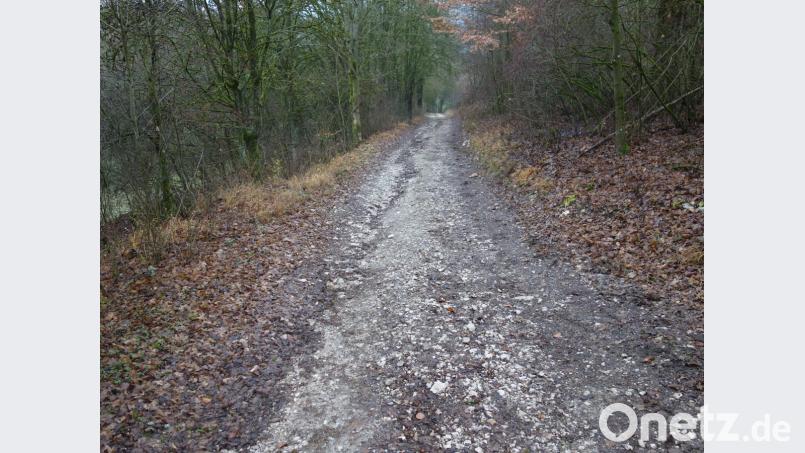 Die Gemeinde übernimmt die Baulast des Feld- und Waldweges zum geplanten Jugendzeltplatz. Bild: tra